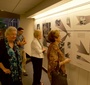 Viewing of the Karski exhibition at St. Louis University (Photo: Kegan Phillips)