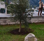 Jan Karski w Czarnogórze (2)